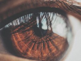 Tomografie Oculara In Coerenta Optica
